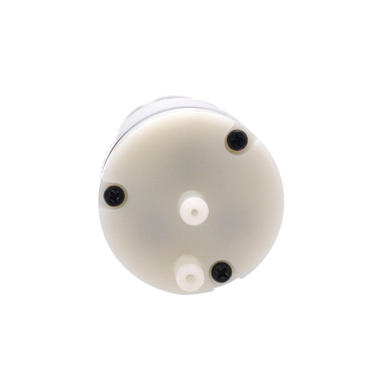 1PCS 310 Vacuum Pump DC 6V 3.7 - огляд і ціна Mini Peristaltic Pump 12V
